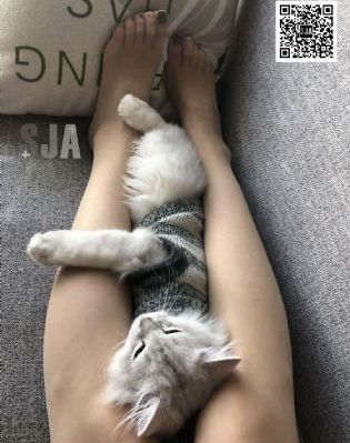 明神亚贵12集全_4KBD在线观看